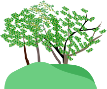 北塚 おまる塚古墳 ふたつか認定こども園の近くにある古墳