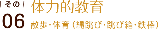 その06 体力的教育 散歩・体育(縄跳び・跳び箱・鉄棒)