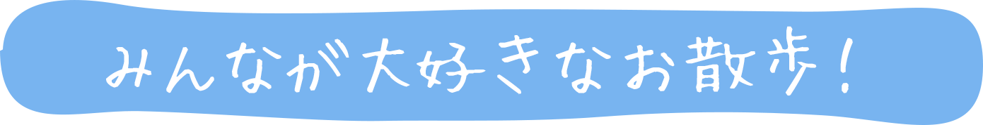 大好きお散歩