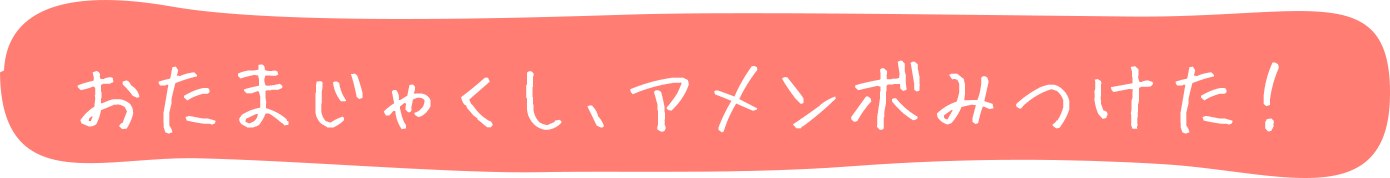 おたまじゃくし、アメンボ
